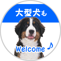 大型犬もＷｅｌｃｏｍｅ