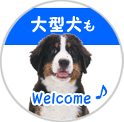 大型犬もＷｅｌｃｏｍｅ