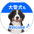 大型犬もＷｅｌｃｏｍｅ